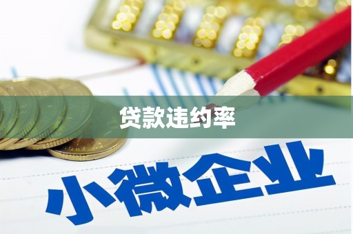 元宝贷款违约率