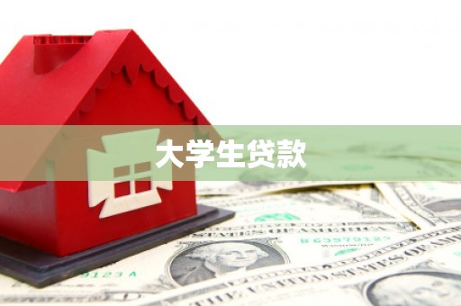 元宝大学生贷款