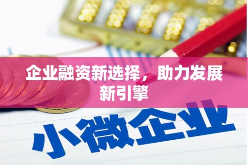 元宝企业融资新选择，助力发展新引擎