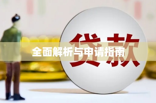 元宝全面解析与申请指南
