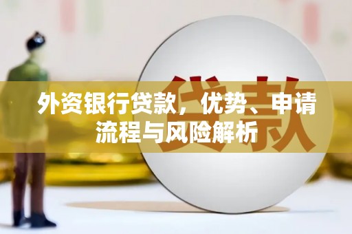 元宝外资银行贷款，优势、申请流程与风险解析