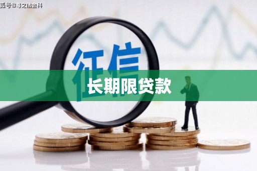 元宝长期限贷款