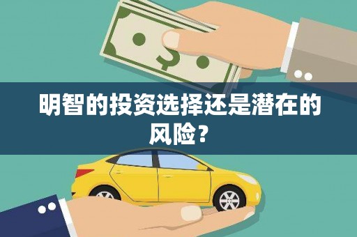 元宝明智的投资选择还是潜在的风险？