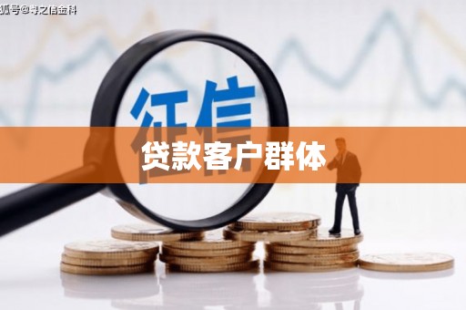 元宝贷款客户群体