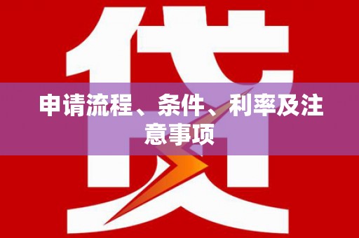 元宝申请流程、条件、利率及注意事项