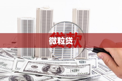 元宝微粒贷