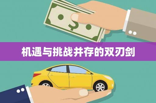 元宝机遇与挑战并存的双刃剑