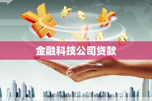 元宝金融科技公司贷款