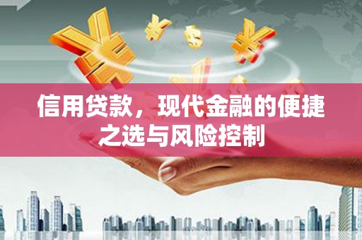 元宝信用贷款，现代金融的便捷之选与风险控制
