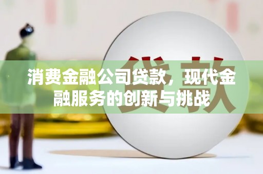 元宝消费金融公司贷款，现代金融服务的创新与挑战