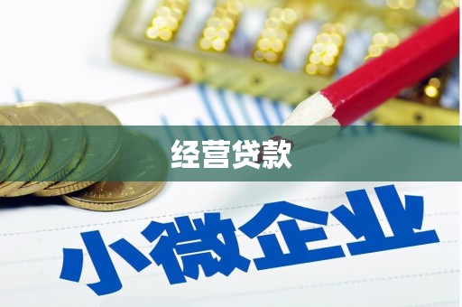 元宝经营贷款