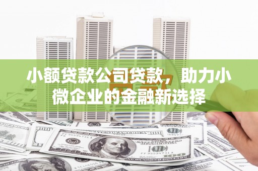 元宝小额贷款公司贷款，助力小微企业的金融新选择