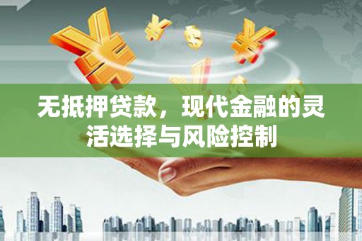 元宝无抵押贷款，现代金融的灵活选择与风险控制