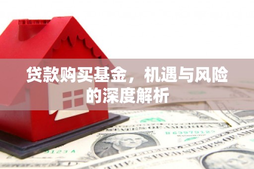 元宝贷款购买基金，机遇与风险的深度解析