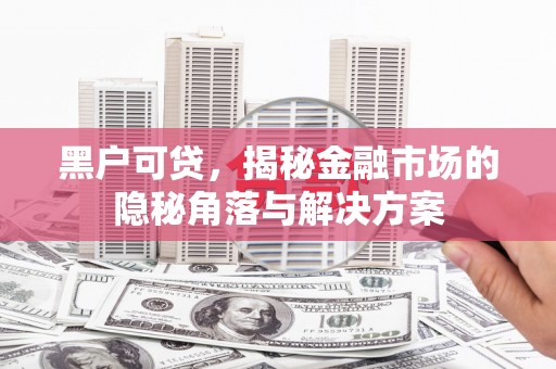 元宝黑户可贷，揭秘金融市场的隐秘角落与解决方案