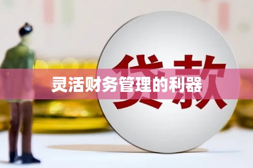 元宝灵活财务管理的利器
