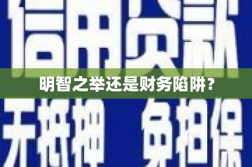 元宝明智之举还是财务陷阱？