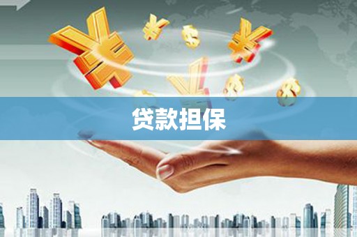 元宝贷款担保