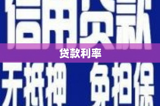 元宝贷款利率