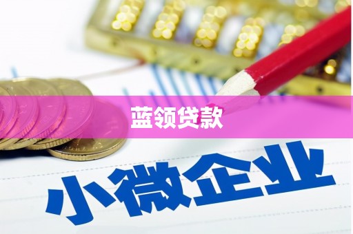 元宝蓝领贷款