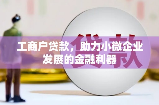 元宝工商户贷款，助力小微企业发展的金融利器
