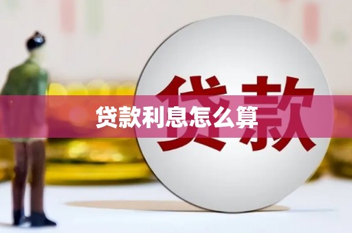 元宝贷款利息怎么算