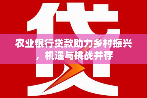 元宝农业银行贷款助力乡村振兴，机遇与挑战并存