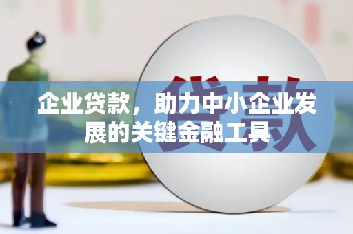 元宝企业贷款，助力中小企业发展的关键金融工具