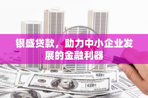 元宝银盛贷款，助力中小企业发展的金融利器