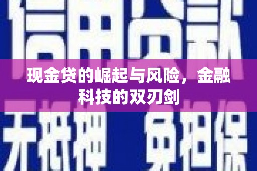 元宝现金贷的崛起与风险，金融科技的双刃剑