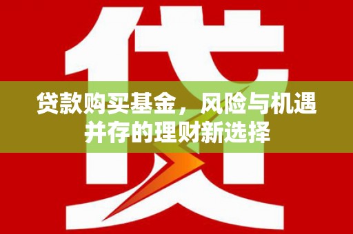 元宝贷款购买基金，风险与机遇并存的理财新选择