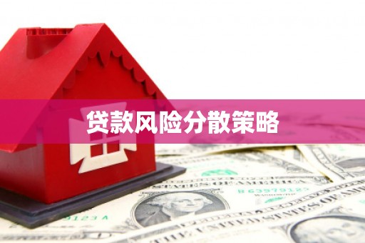 元宝贷款风险分散策略