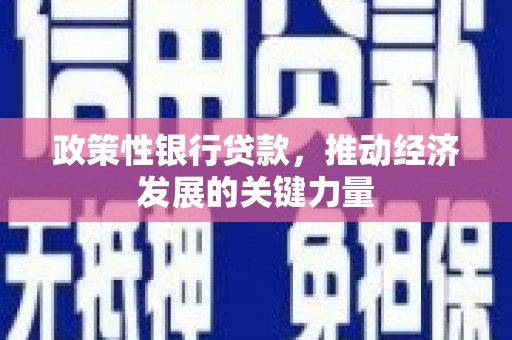 元宝政策性银行贷款，推动经济发展的关键力量