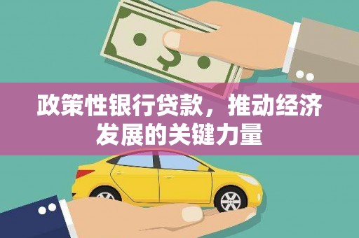 元宝政策性银行贷款，推动经济发展的关键力量