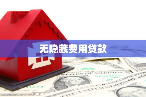 元宝无隐藏费用贷款