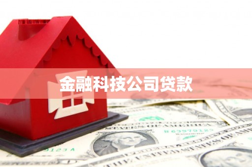 元宝金融科技公司贷款