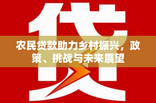 元宝农民贷款助力乡村振兴，政策、挑战与未来展望