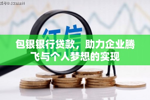 元宝包银银行贷款，助力企业腾飞与个人梦想的实现