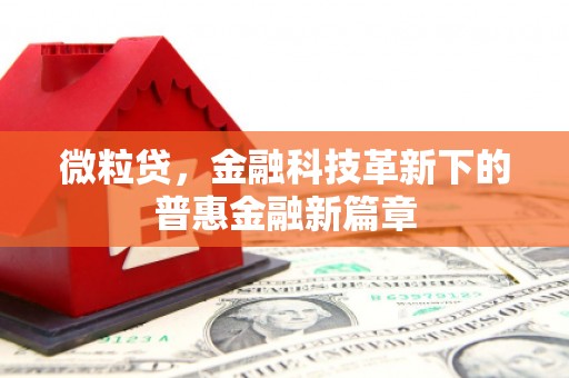 元宝微粒贷，金融科技革新下的普惠金融新篇章