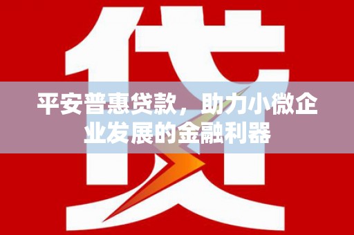 元宝平安普惠贷款，助力小微企业发展的金融利器