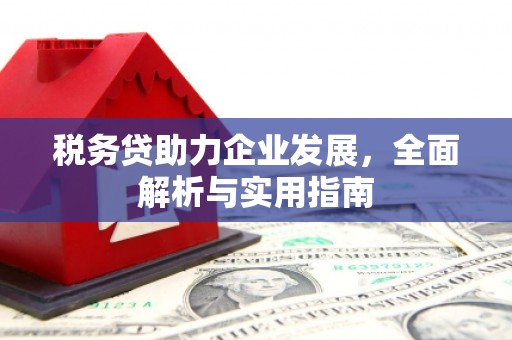 元宝税务贷助力企业发展，全面解析与实用指南