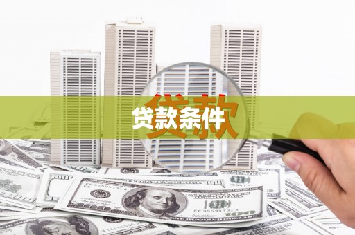 元宝贷款条件
