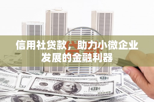 元宝信用社贷款，助力小微企业发展的金融利器