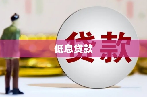 元宝低息贷款