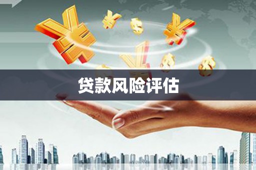 元宝贷款风险评估