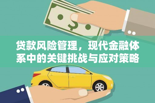 元宝贷款风险管理，现代金融体系中的关键挑战与应对策略