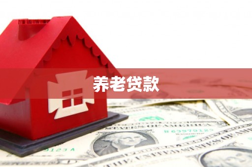 元宝养老贷款