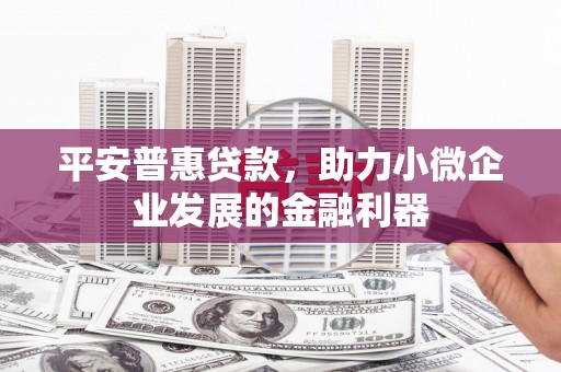 元宝平安普惠贷款，助力小微企业发展的金融利器