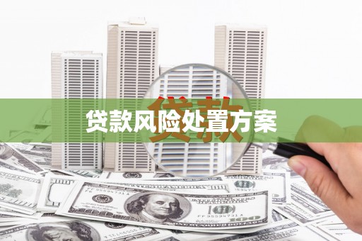 元宝贷款风险处置方案