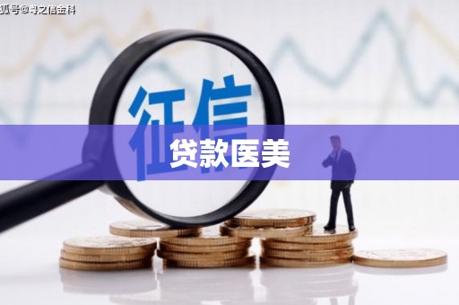 元宝贷款医美